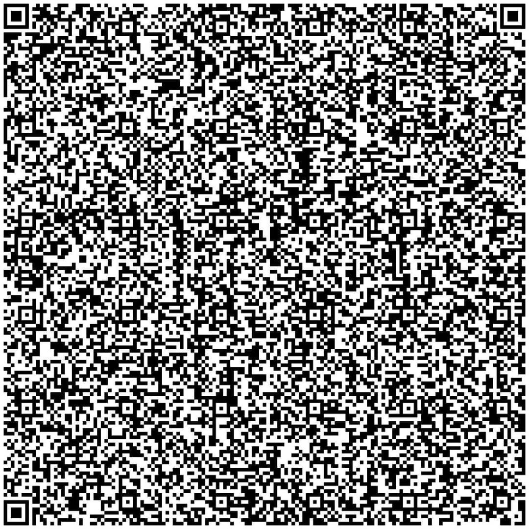 QR Code 161