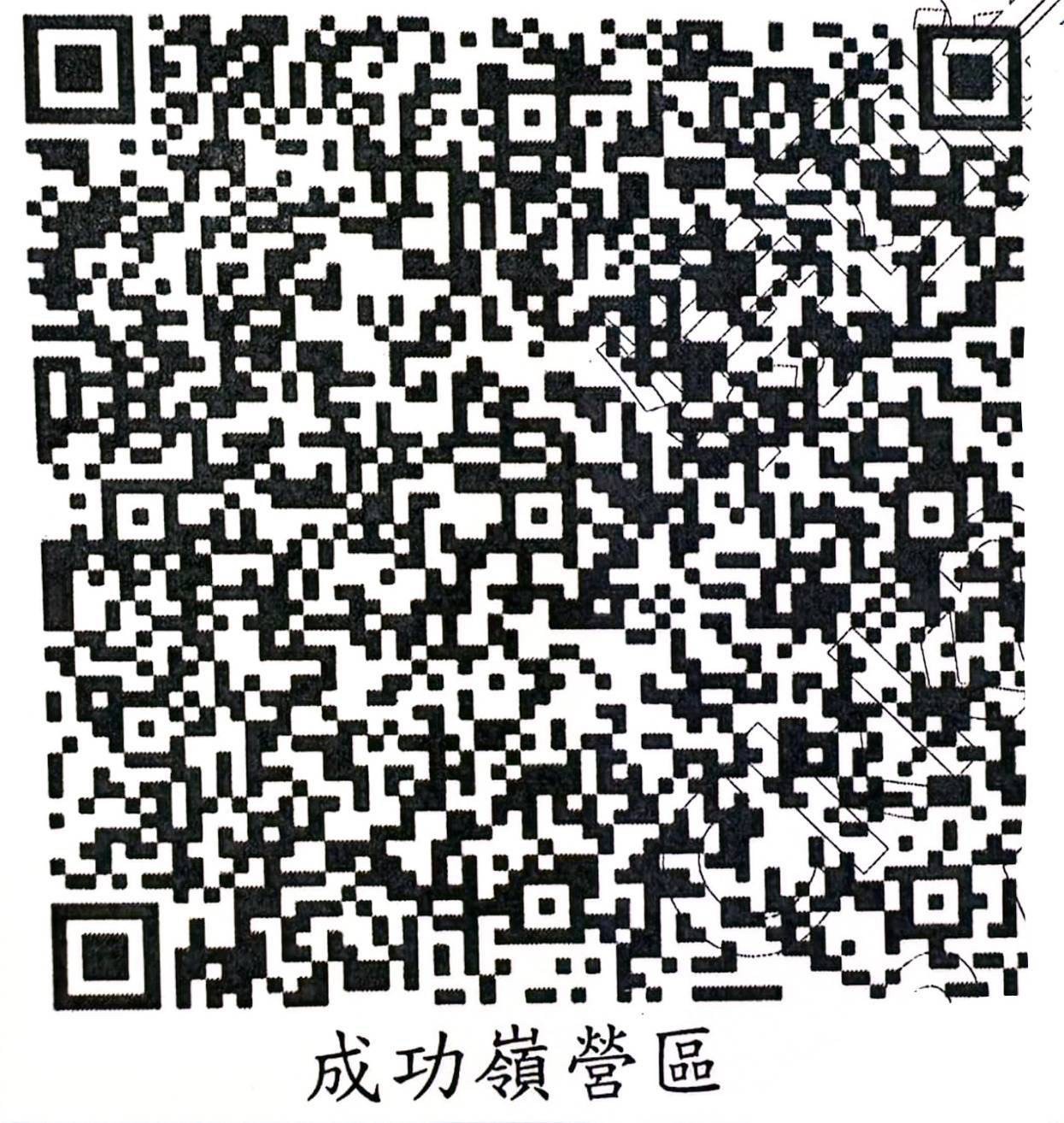 QR Code 204