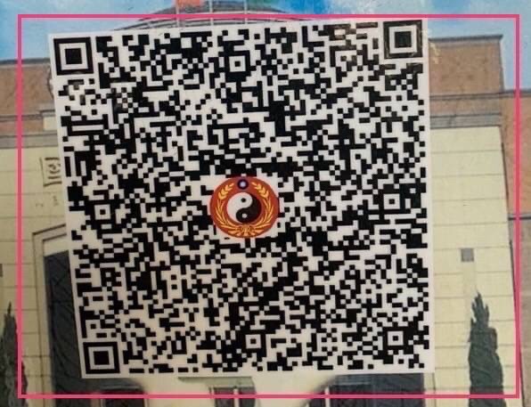 QR Code 219